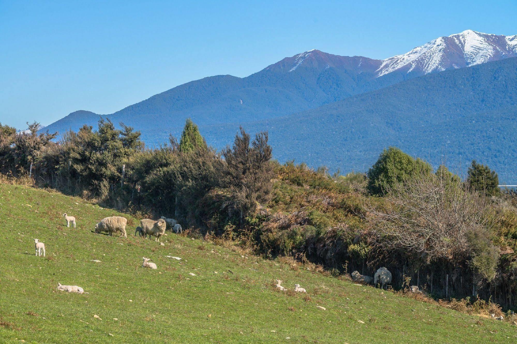 Loch Vista Bed & Breakfast Te Anau Exteriér fotografie